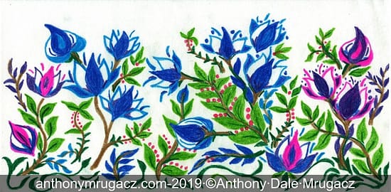 Colored pencil drawing of blue and purple flowers by Anthony Mrugacz.