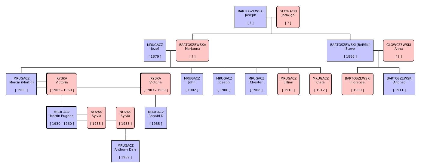 Bartoszewski and Glowacki family tree from Anthony Dale Mrugacz and Mrugacz Rybka Novak Kozlowski.
