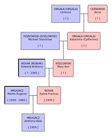 Family tree for Mrugacz Rybka Novak Kozlowski.