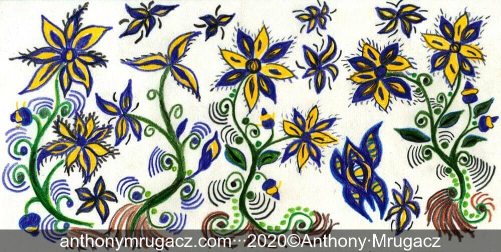 Colored penicl drawing of flowers by Mrugacz.